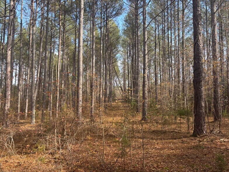 Primary Photo Of Oak Tree Dr, Honea Path Land For Sale