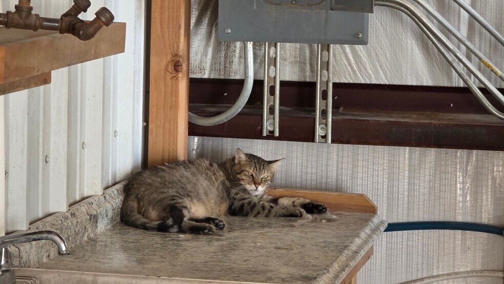 More Photos Of 5904 N County Road 1150, Midland Industrial For Sale