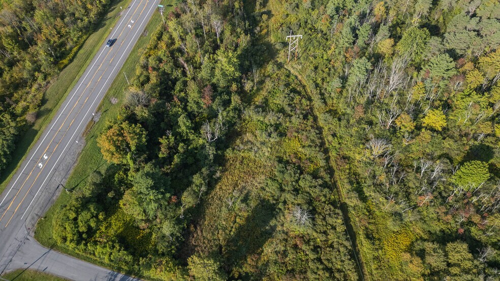 More Photos Of 219 Mudge rd, Delanson Land For Sale