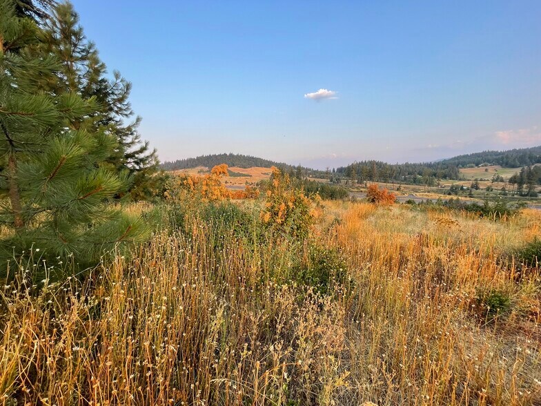 More Photos Of TBD S. Hwy 95 hwy, Worley Land For Sale