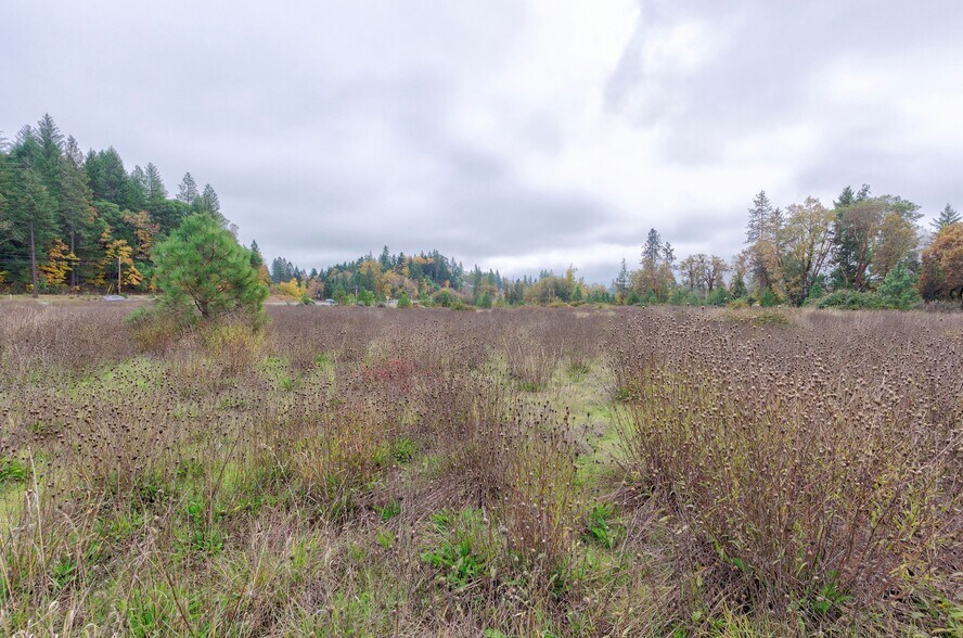 More Photos Of 25210 Redwood Highway Cave Junction OR 97523, Cave Junction Land For Sale
