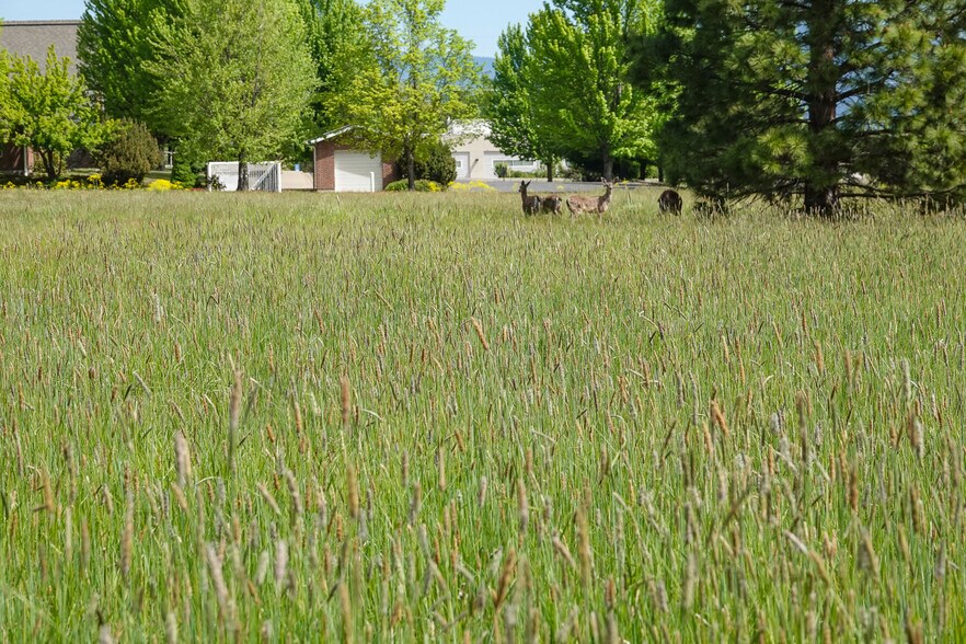 More Photos Of 0 Highway 3, Etna Land For Sale