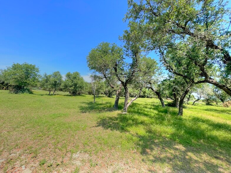 More Photos Of County Road 253, Bertram Land For Sale