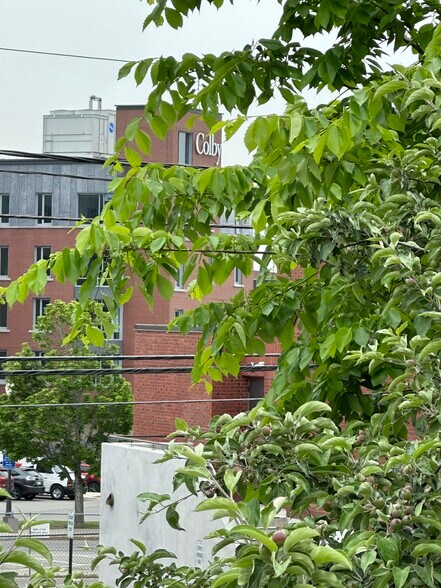 More Photos Of 80-88 Elm St, Waterville Apartments For Sale