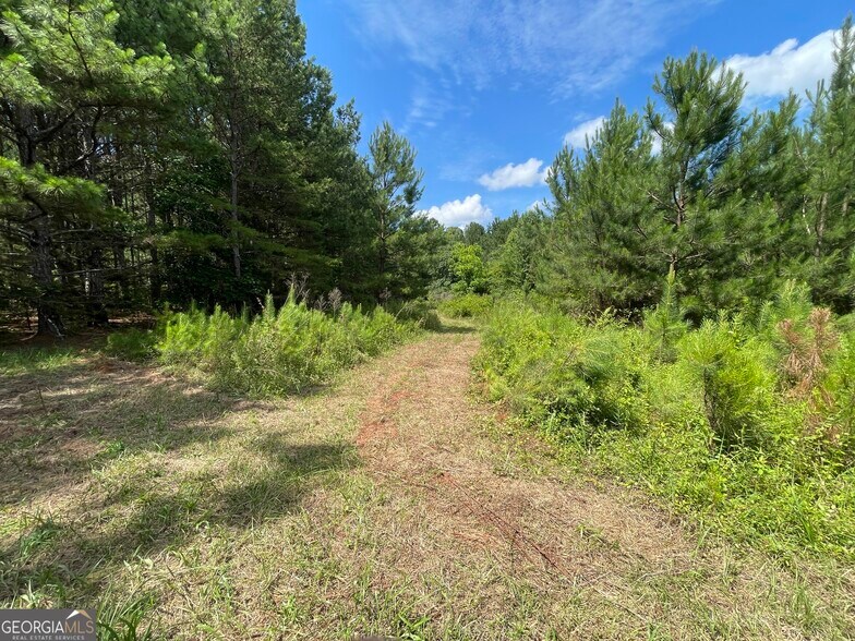 More Photos Of 0 Fallen Branch Circle Southeast, Rome Land For Sale