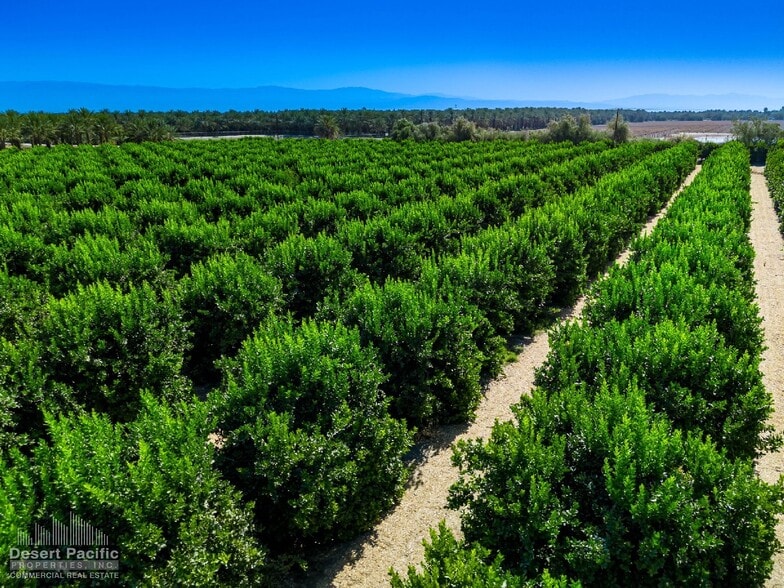 More Photos Of Van Buren St, Thermal Land For Sale