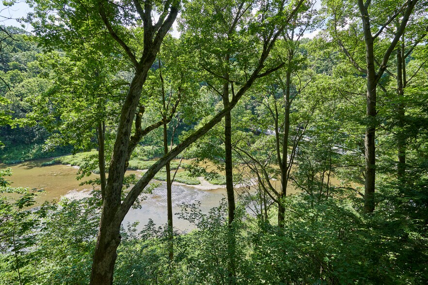 More Photos Of 834 Clyde Hill (South Countyline Rd), Geneva Winery Vineyard For Sale