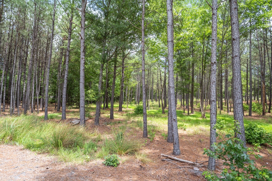 More Photos Of 414 New Elam Church Rd, Moncure Land For Sale