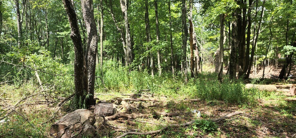 More Photos Of 105 Liberty St, Monticello Land For Sale