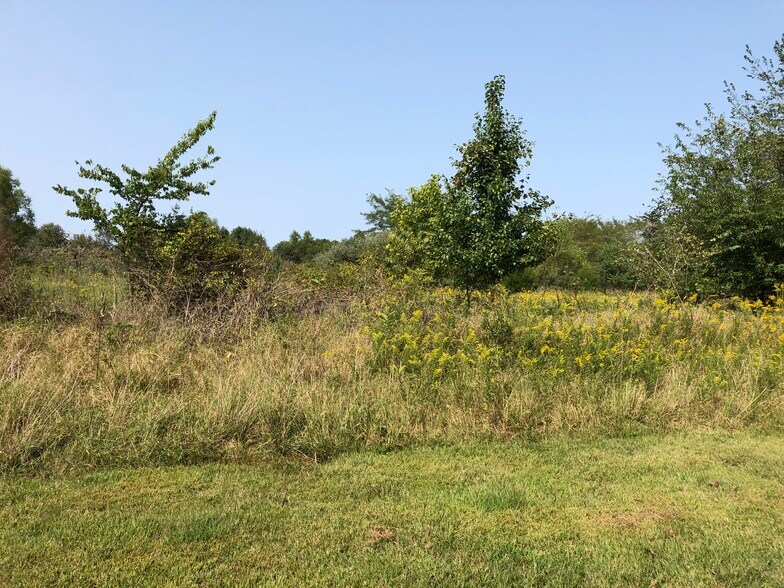More Photos Of 1408 W Longstreet Rd, Marion Land For Sale