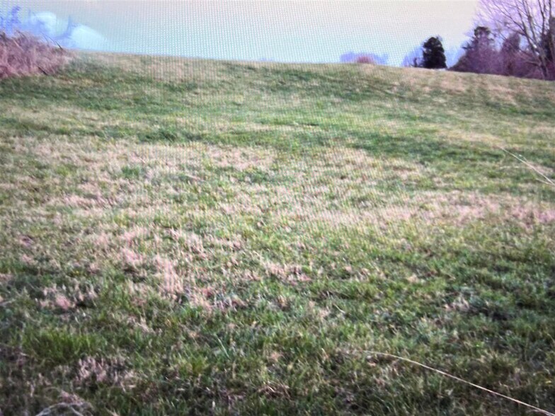 More Photos Of 1732 Old Gallatin Rd, Scottsville Land For Sale