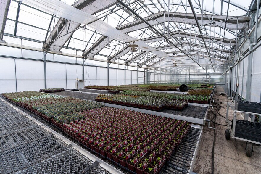 More Photos Of 1355 N Barlow St, Cornelius Winery Vineyard For Sale