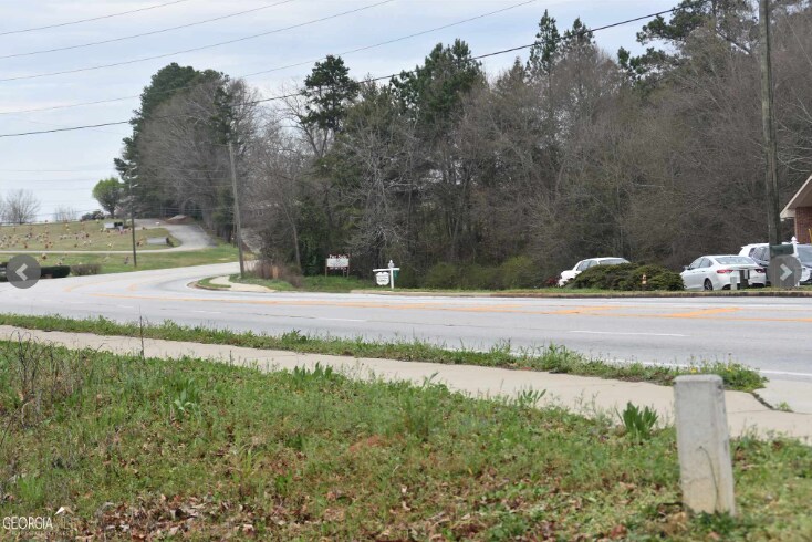 More Photos Of 3814 Highway 17 Hwy, Eastanollee Land For Sale