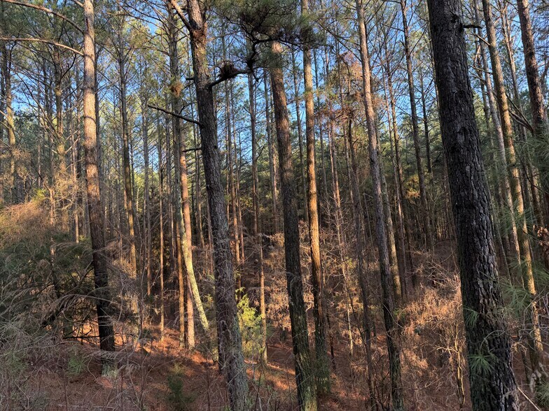 More Photos Of 260 Arnold Rd NE, Fairmount Land For Sale