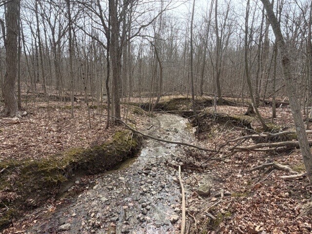 More Photos Of Approx. 4593 S Madison Rd, Madison Land For Sale