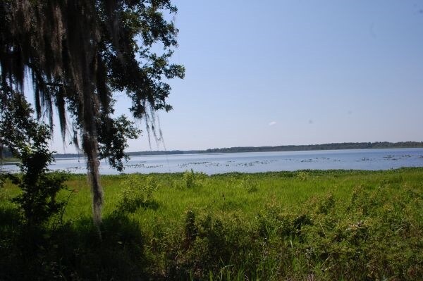 More Photos Of 7707 Holden Park Rd, Hawthorne Land For Sale