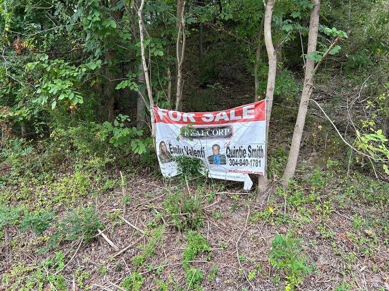 More Photos Of TBD Mullins Ter, Chapmanville Land For Sale