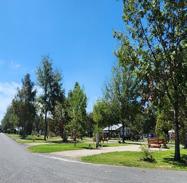 More Photos Of 828 NE Primrose Rd, Mayo Land For Sale