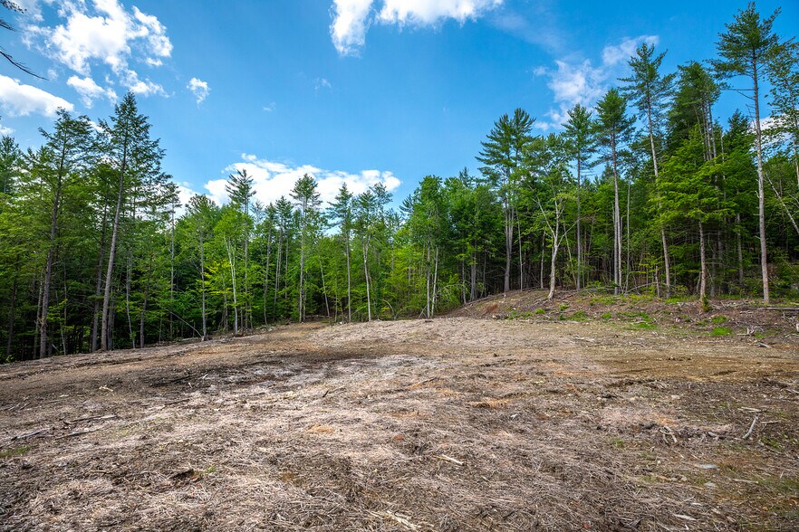 More Photos Of 40 E Putney Brook Rd, Putney Land For Sale