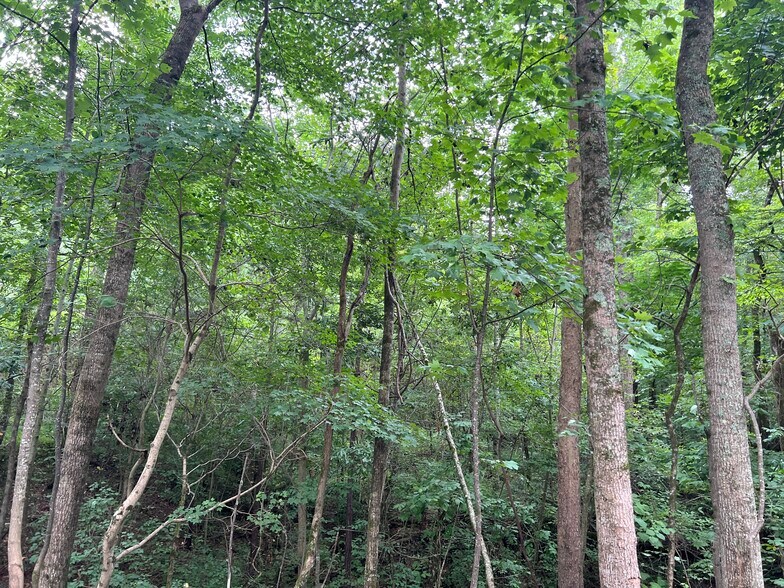 More Photos Of Pinyan, Ranger Land For Sale