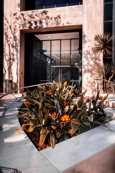 More Photos Of 233 Wilshire Blvd, Santa Monica Office For Lease