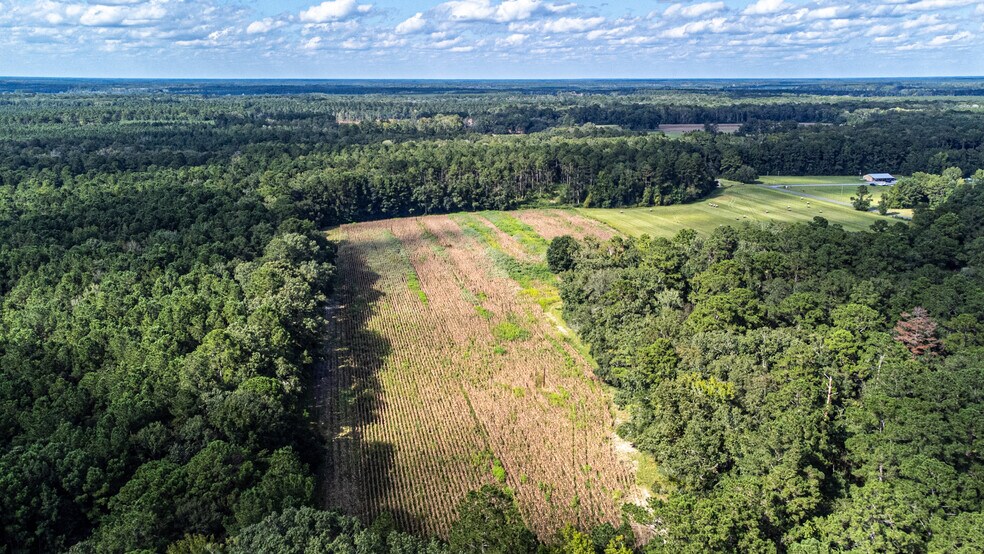 More Photos Of Tuten Road, Round O Land For Sale