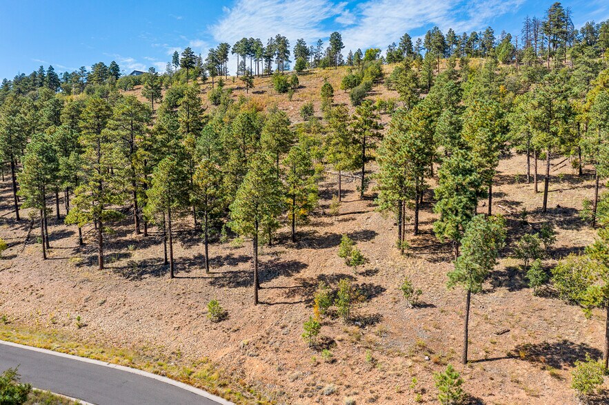 More Photos Of 1300 W Lower Coconino Ave, Flagstaff Land For Sale