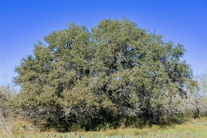 More Photos Of 399 Seals Creek Rd, Lockhart Land For Sale