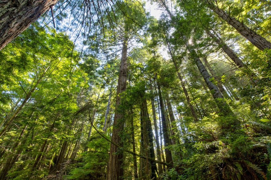 More Photos Of 33170 Frog Pond rd, Little River Land For Sale