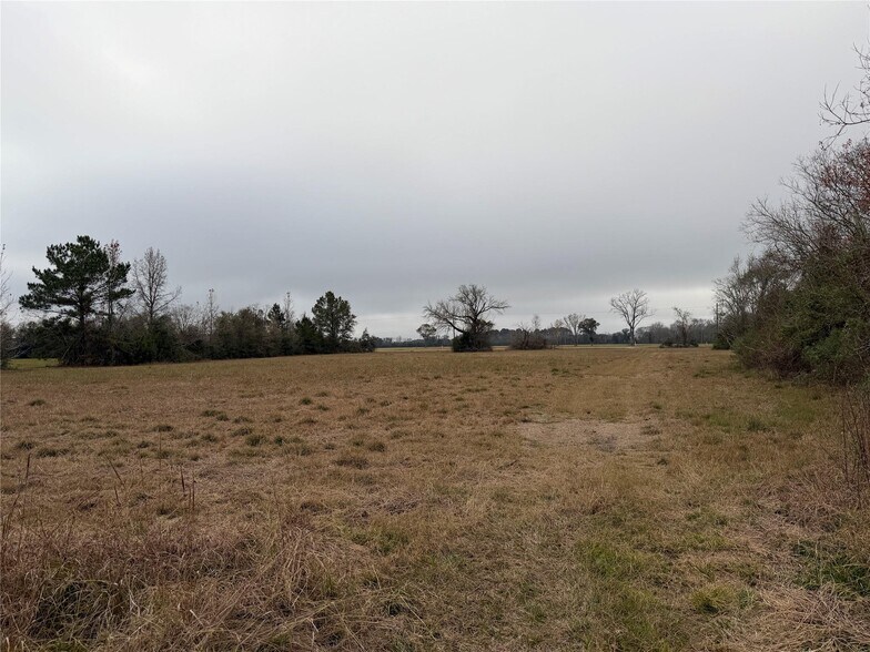 More Photos Of 8007 FM 1960, Dayton Land For Sale