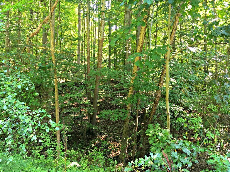 More Photos Of Locust Grove Dr, Port Tobacco Land For Sale