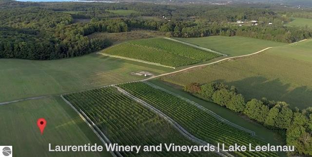 More Photos Of 56 French Rd, Lake Leelanau Winery Vineyard For Sale