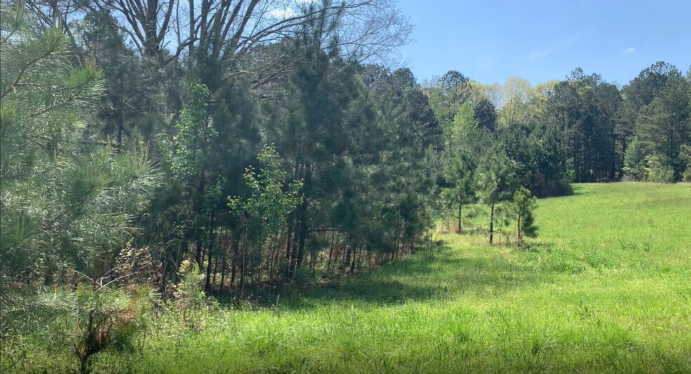 More Photos Of 3300 Old Thompson Mill Rd, Buford Land For Sale