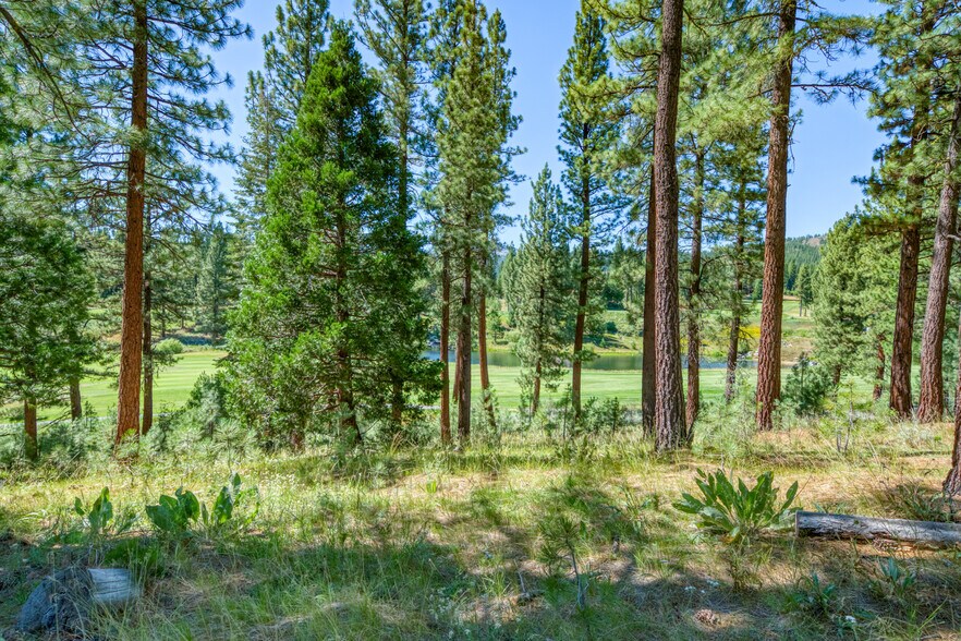More Photos Of 241 Fox Sparrow, Portola Land For Sale