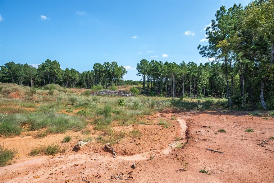 More Photos Of 18021 State Highway 155 S hwy, Flint Land For Sale