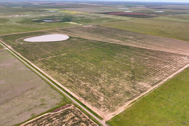 More Photos Of 807 County Road 515, Dimmitt Land For Sale