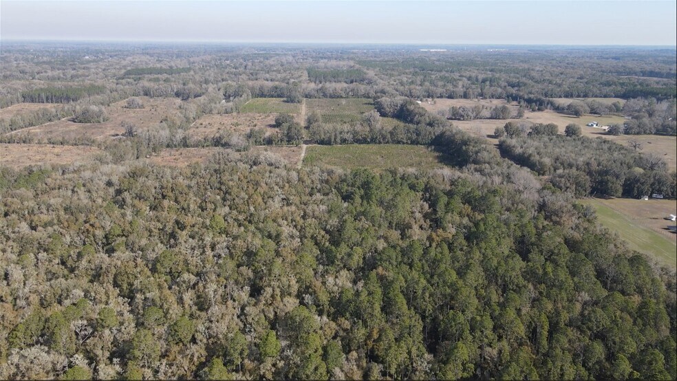 More Photos Of TBD NW 46th Avenue, Newberry Land For Sale