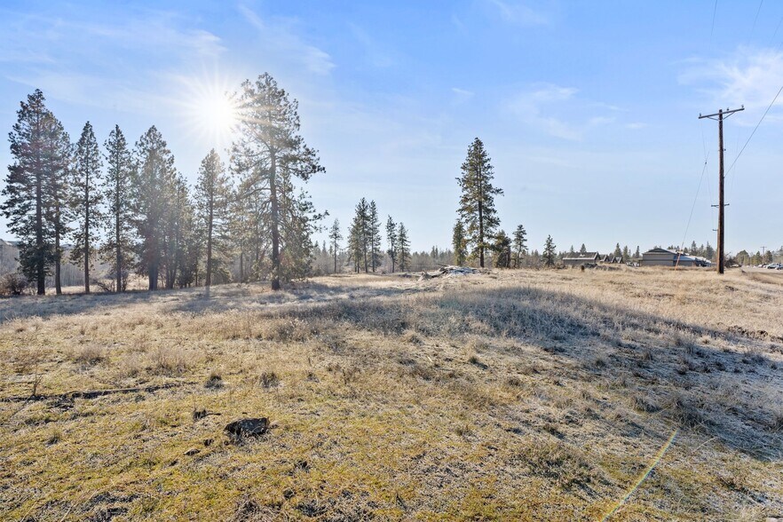 More Photos Of 233 Alki St, Cheney Land For Sale