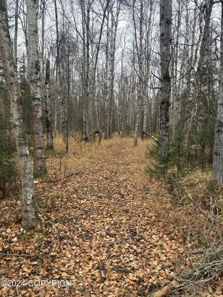 More Photos Of 6129 S Knik Goose Bay Rd, Wasilla Land For Sale