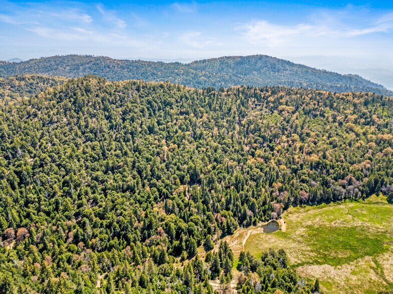 More Photos Of Palomar Divide Truck Trail, Palomar Mountain Land For Sale