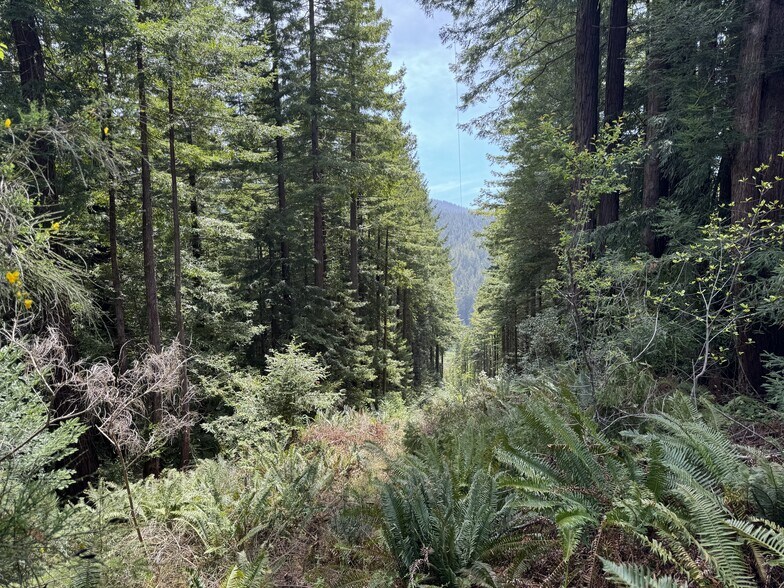 More Photos Of 23501 Branscomb Rd, Westport Land For Sale