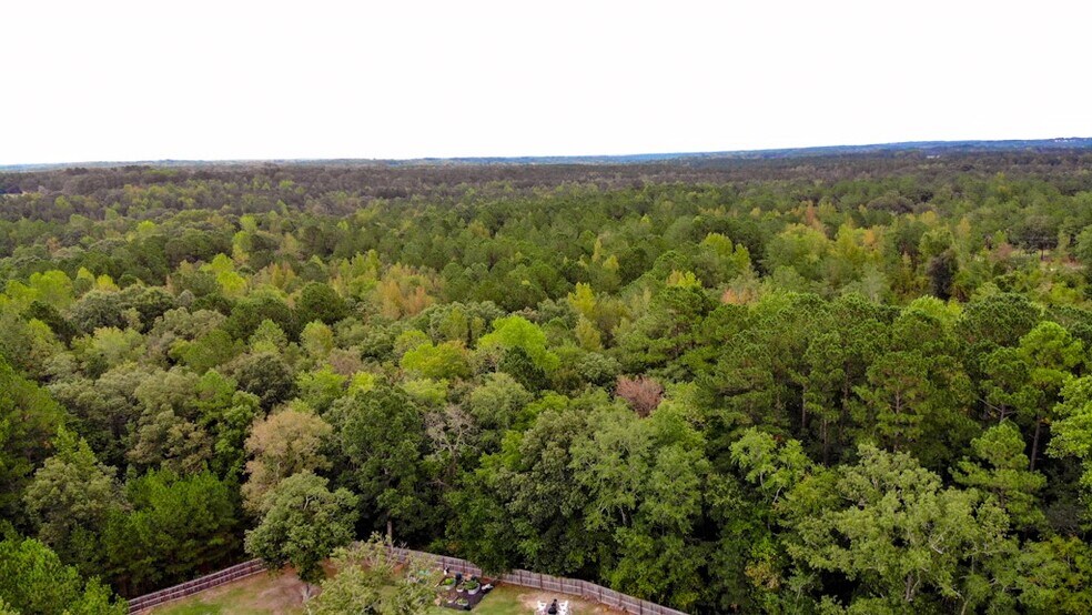 More Photos Of 300 Milton Welch (47+ acres - address # est) Rd, Sanford Land For Sale