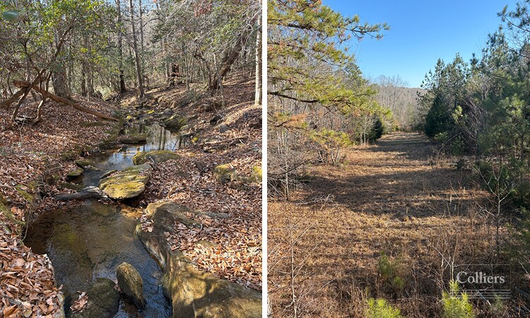 More Photos Of 00 Painter Road Rd, Pelzer Land For Sale