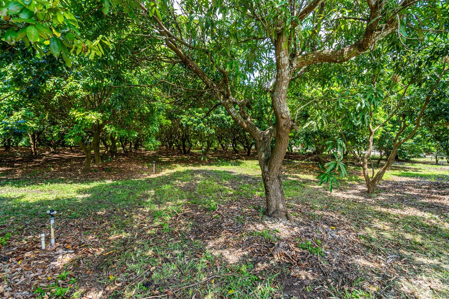 More Photos Of 27804 SW 175th Ct, Homestead Land For Sale