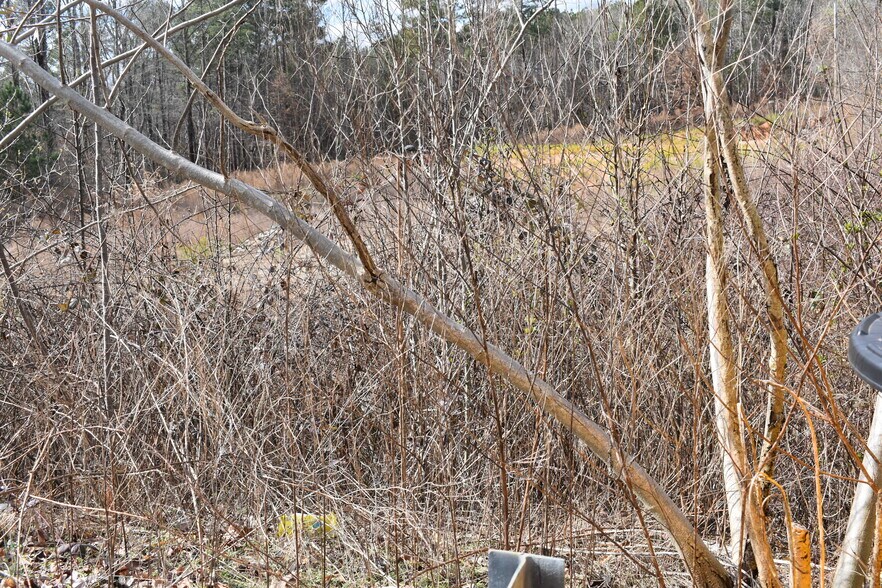 More Photos Of 3079 Lenora Church Rd, Snellville Land For Sale