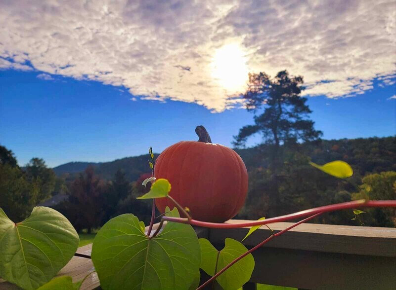 More Photos Of 11341 Raystown Rd, Huntingdon Hospitality For Sale