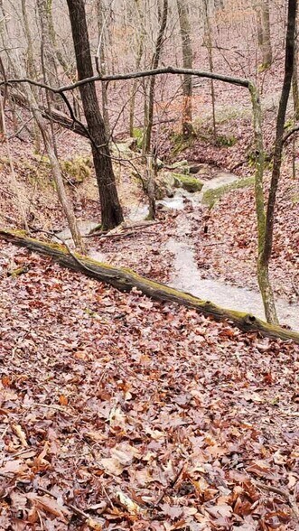 More Photos Of 190 Edgewater Dr, Eureka Springs Land For Sale