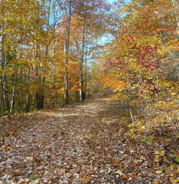 More Photos Of 1737A High Rock Rd, Stanton Land For Sale