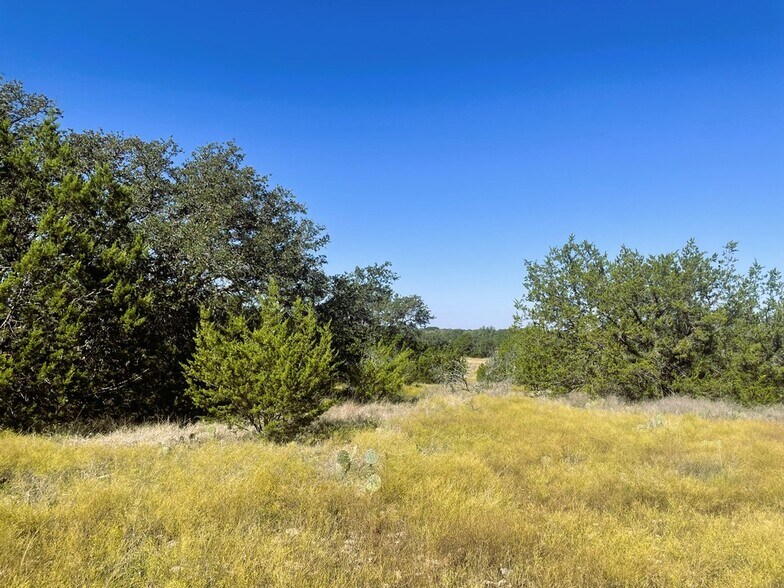 More Photos Of 1276 Farm to Market Road 574, Mullin Land For Sale