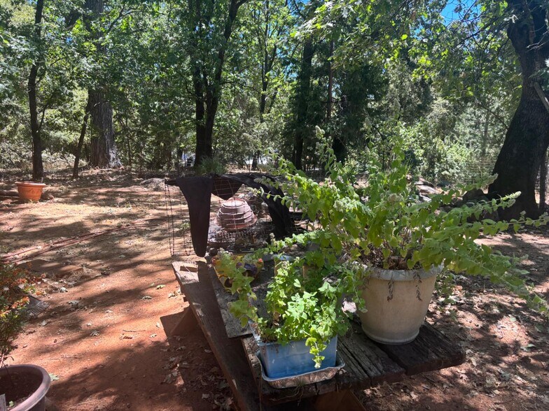 More Photos Of 15574 Hinton Rd, Pioneer Land For Sale